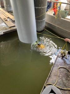 Jacket being wrapped around the corroded steel pile